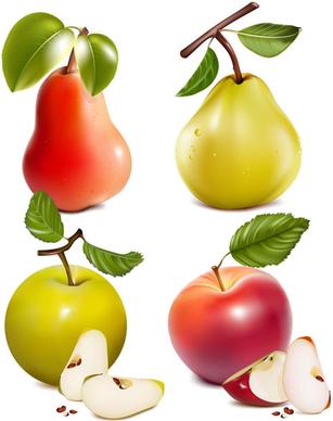 different fruit and green leaves vector