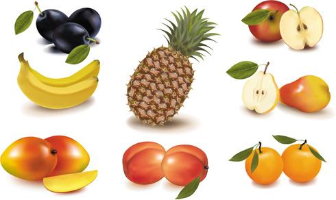 different fruit elements vector set