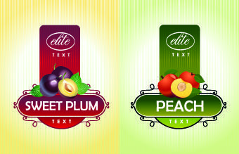 different fruit stickers vector set