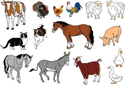 different house animals vector set