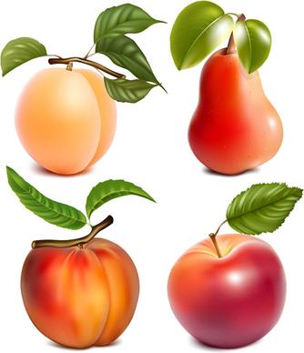 different juicy fruit vectors