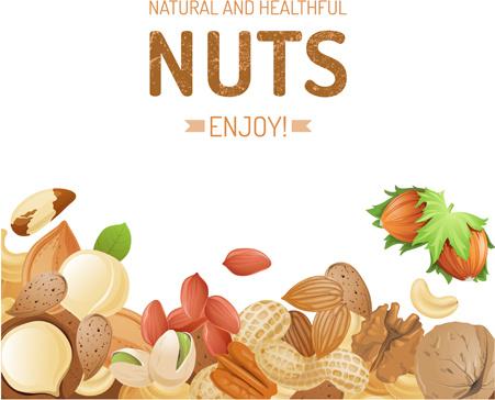 different nuts vector background graphics