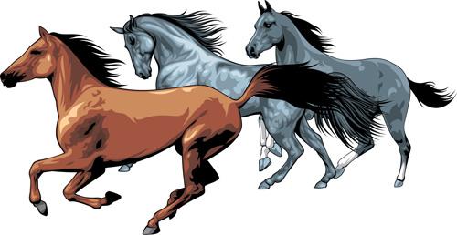 different running horses vector