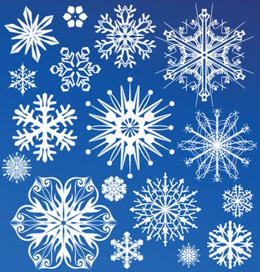 different snowflake elements vector graphics
