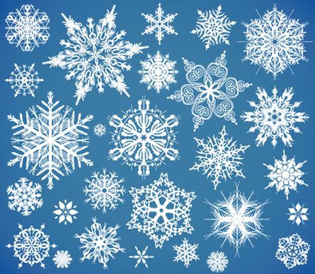 different snowflake elements vector graphics