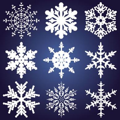 different snowflake pattern mix vector graphics