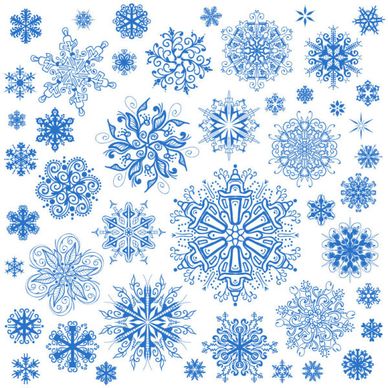 different snowflake patterns design elements vector