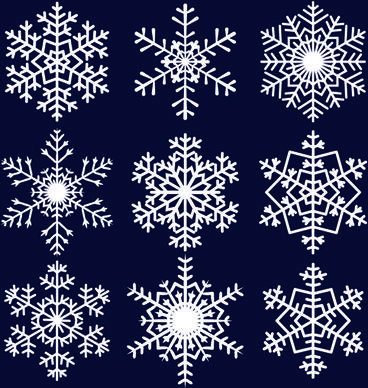 different snowflakes mix design vector