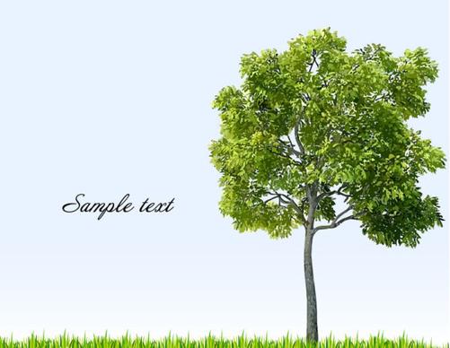 different tree design elements vector