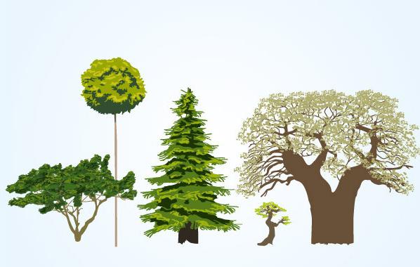 different tree vectors