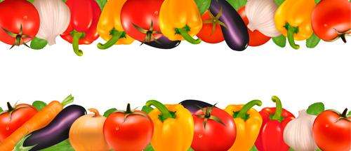 different vegetables frame vector