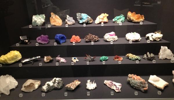 display case of minerals