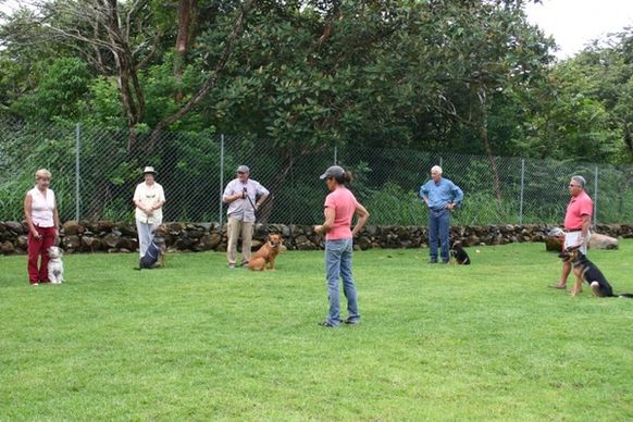 dog obedience class
