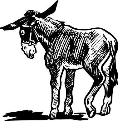 Donkey Outline In Black And White clip art