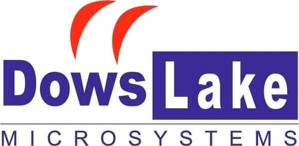 dowslake microsystems