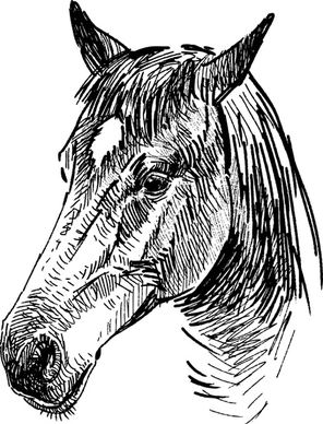 draw horses vector