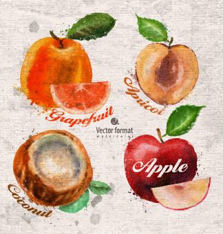 drawn watercolor fruits vector design set