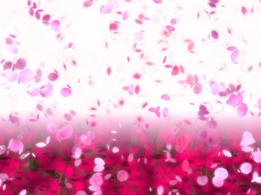 dream petals fluttered background highdefinition picture