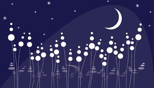dreamy night vector graphic