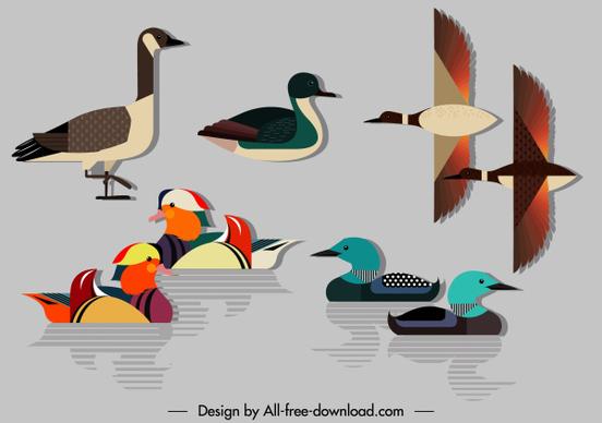 duck species icons colorful flat modern sketch