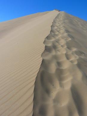 dune desert dry