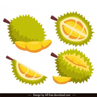 durian fruit icons bright colored classic sketch