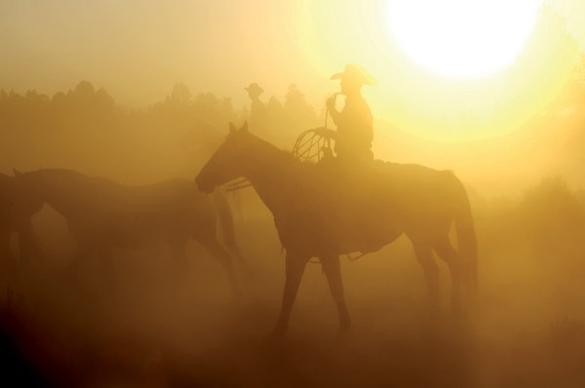 dusk cowboy hd picture