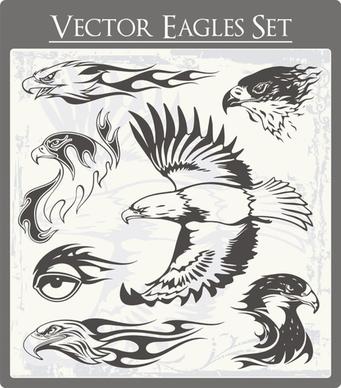 eagle free vector