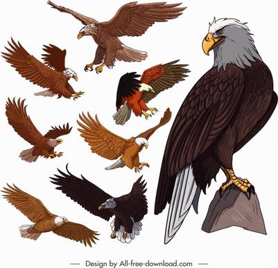 eagle icons colored cartoon sketch