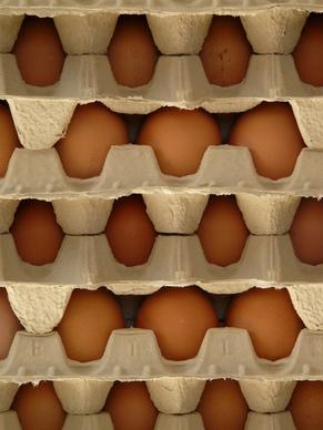 eggs egg-box food