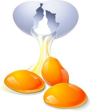 eggs vector food vector graphics
