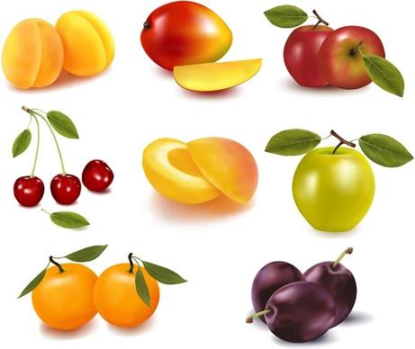 eight kinds of fruits vector