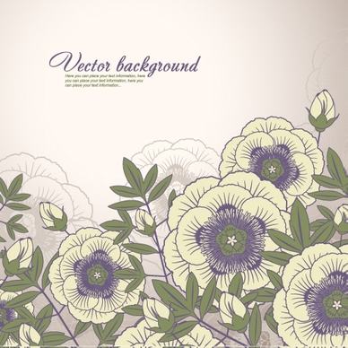 elegant floral background 04 vector