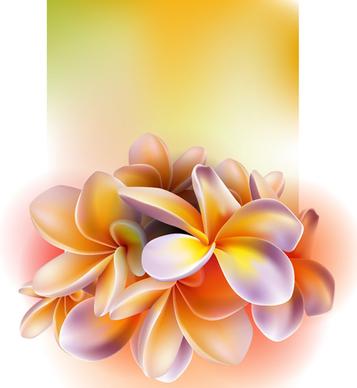 elegant orchids design vector