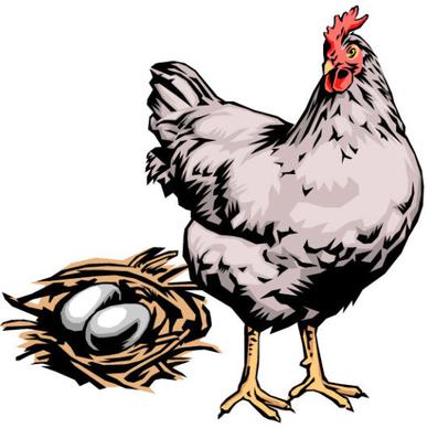 elements of hen with egg design vector