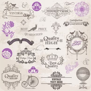elements of ornate pattern and borders vector