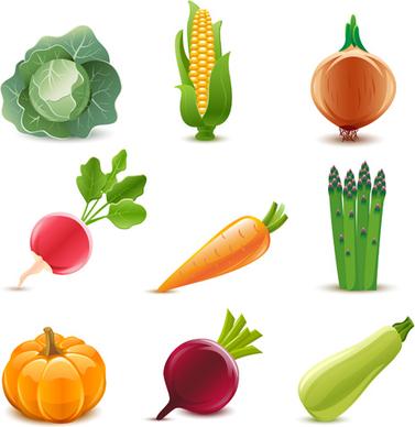 elements of various glossy fruit vector