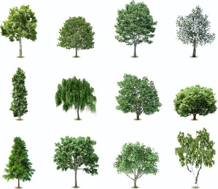 elements of various trees vector