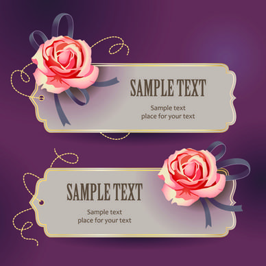 elements of vintage romantic roses cards vector
