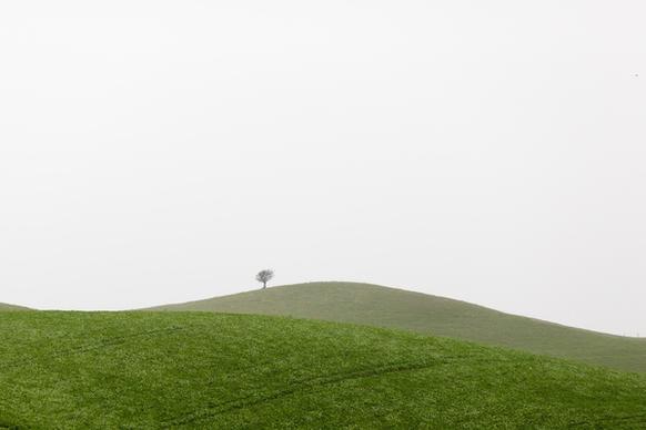 environment field fog golf grass grassland hill