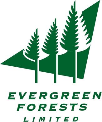 evergreen forests