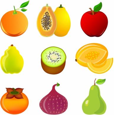 Exotic fruit icon set