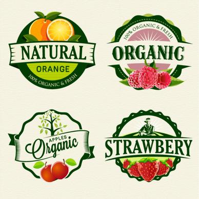 exquisite fruit labels retro style vector