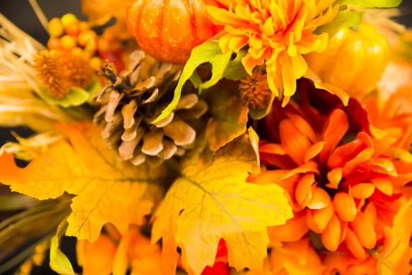 fall  backdrop orange leaves  flowers closeup