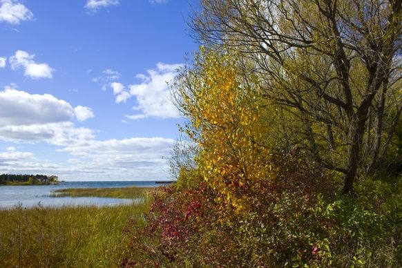 fall colors of the peninsula at peninsula state park wisconsin