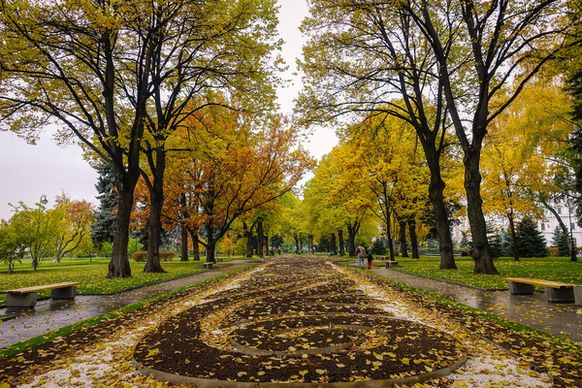 fall foliage in moscow