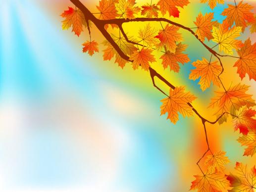 fall of maple leaf elements background vector
