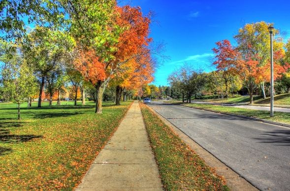 fall roadways in madison wisconsin
