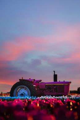farm twilight picture tulip field machine dark scene 
