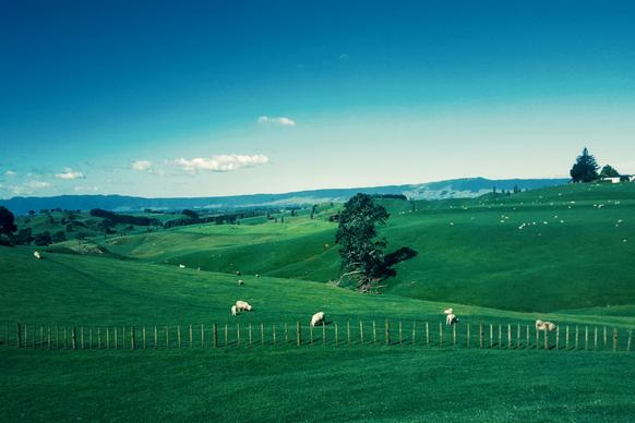 farmland picture elegant realistic